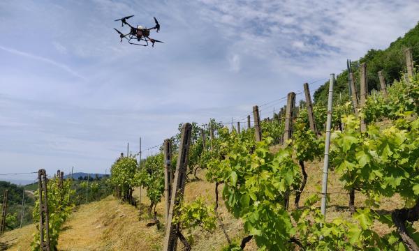 Impiego dei droni UAV nella difesa delle colture: aggiornamento tecnico-normativo