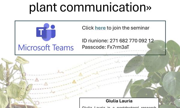 Avviso di seminario
