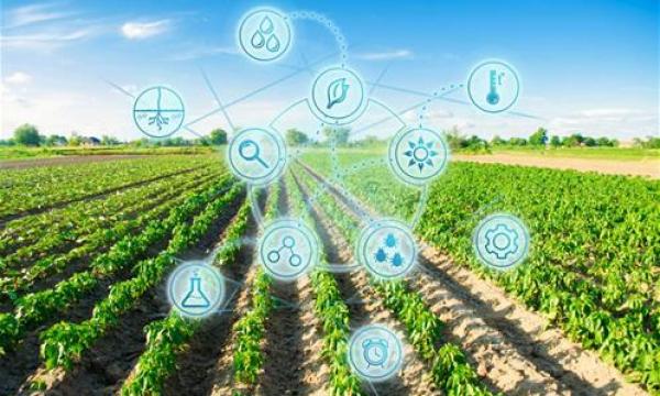 Agricoltura 2030: Visioni tecnologiche per una nuova Agricoltura